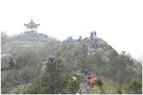 新城控股